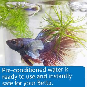 img 1 attached to 🐠 Betta Fish Water - Ready-to-Use Freshwater Aquarium Water for Betta, API Brand, 31 oz Bottle, No Need for Aquarium Water Conditioner