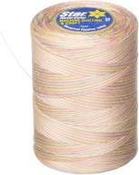 🧵 star thread v38-882 3-ply 30wt t-35 sherbet variegated thread: perfect for quilting and crafts with 1200 yd length logo