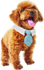 img 3 attached to 🐾 YAODHAOD Adjustable Cat Dog Pet Stripe Bow Tie: Stylish, Soft & Comfortable Grooming Accessory for Fashionable Dogs, Puppies & Cats