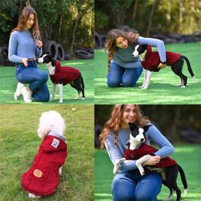 img 1 attached to Dog Cat Hooded Sweater XX Large