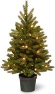 🎄 3ft pre-lit jersey frasier fir artificial christmas tree with realistic feel, white led lights, and pot base - by national tree company логотип
