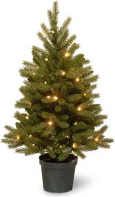 img 4 attached to 🎄 3ft Pre-Lit Jersey Frasier Fir Artificial Christmas Tree with Realistic Feel, White LED Lights, and Pot Base - by National Tree Company