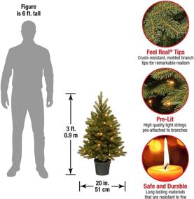 img 2 attached to 🎄 3ft Pre-Lit Jersey Frasier Fir Artificial Christmas Tree with Realistic Feel, White LED Lights, and Pot Base - by National Tree Company