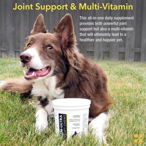 img 2 attached to Animal Pharmaceuticals ZM Ultra Joint Supplement