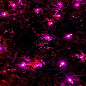 img 1 attached to 🎄 UL 200 LED Purple Christmas Lights with 66ft Green Wire - Always-On String Lights for Indoor/Outdoor Party, Garden, and Patio