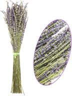 oopsu 200 pcs 100% natural dried lavender flowers: perfect for diy floral arrangements, home decor, party & wedding! логотип