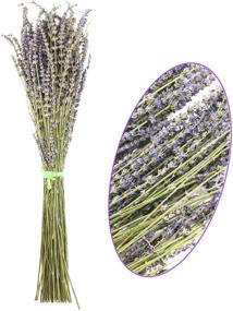 img 4 attached to Oopsu 200 Pcs 100% Natural Dried Lavender Flowers: Perfect for DIY Floral Arrangements, Home Decor, Party & Wedding!