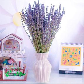 img 1 attached to Oopsu 200 Pcs 100% Natural Dried Lavender Flowers: Perfect for DIY Floral Arrangements, Home Decor, Party & Wedding!