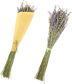 img 3 attached to Oopsu 200 Pcs 100% Natural Dried Lavender Flowers: Perfect for DIY Floral Arrangements, Home Decor, Party & Wedding!