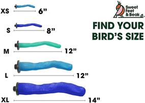 img 3 attached to 🐦 Optimized Sweet Feet and Beak Safety Pumice Perch for Birds: Genuine Pumice for Nail and Beak Trimming, Foot Health Promotion - Safe, Non-Toxic, Ideal for Bird Cages