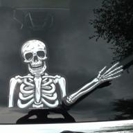 wipertags skully: the ultimate animated skeleton waving wiper decor logo