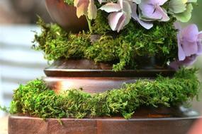 img 2 attached to Enhance Your Décor with Super Moss (22711) MossVine Garland - Fresh Green, 12ft