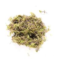 🌿 heallily preserved moss 100g - dry forest green for potted plants, terrariums, fairy gardens, crafts and decor logo