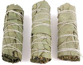 img 1 attached to 🌿 Organic Eucalyptus Smudge Sticks 3 Pack: Ultimate Cleansing for House, Meditation, Yoga, and Negative Energy Cleanse - Starter Guide Included!