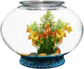 img 1 attached to 🐠 Koller Products 2-Gallon Fish Bowl: A Stylish & Practical Home for Your Fishy Friends!