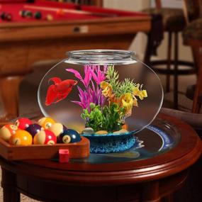 img 2 attached to 🐠 Koller Products 2-Gallon Fish Bowl: A Stylish & Practical Home for Your Fishy Friends!