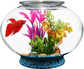 img 3 attached to 🐠 Koller Products 2-Gallon Fish Bowl: A Stylish & Practical Home for Your Fishy Friends!