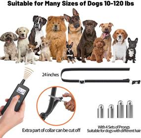 img 2 attached to 🐶 Premium 2-Dog Remote Training Collar: Rechargeable, 3 Modes – Beep, Vibration, 9 Shock Levels – For Large, Medium, Small Dogs (10-120 lbs)