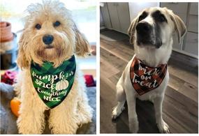 img 1 attached to Festive Holiday Plaid Dog Bandanas 3 Pack: Perfect for Halloween, Thanksgiving, and Christmas!