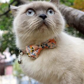 img 2 attached to Ximipet Cat Collar Breakaway: Stylish Flower Design 🌸 with Bell, Bow Tie, and Adjustable Safety - 1PCS/2PCS