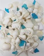 tumbler home natural sea shells, starfish & sea glass - 1.5 lbs | hand picked & hand packed | ideal for diy crafts, party, wedding decor | shells range from 1.5 to 4.5 inches logo