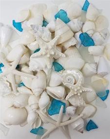 img 3 attached to Tumbler Home Natural Sea Shells, Starfish & Sea Glass - 1.5 lbs | Hand Picked & Hand Packed | Ideal for DIY Crafts, Party, Wedding Decor | Shells Range from 1.5 to 4.5 Inches