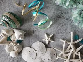 img 2 attached to Tumbler Home Natural Sea Shells, Starfish & Sea Glass - 1.5 lbs | Hand Picked & Hand Packed | Ideal for DIY Crafts, Party, Wedding Decor | Shells Range from 1.5 to 4.5 Inches