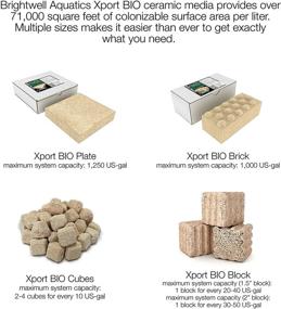 img 2 attached to 🐠 Brightwell Aquatics Xport BIO Cubes - Highly Porous Bio Filter Media for Optimal Filtration in Marine and Freshwater Fish Tanks