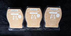 img 3 attached to 🍎 Scentsy Baked Apple Pie Wickless Candle Tart Warmer Wax 3.2 Oz Bar - 3-Pack (3)