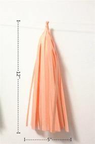 img 1 attached to Saitec Tassels Wedding Garland Bunting