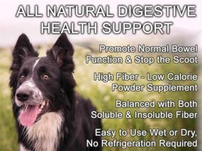 img 2 attached to 🐶 GOOD KARMA NATURALS All Natural Digestion Support & Diarrhea Relief for Dogs - 100% Natural Dog Digestive Fiber Pumpkin Powder (8oz Bag) - Promotes Optimal Anal Gland Health - Bulk Up Now!