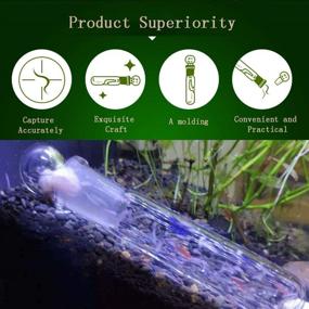 img 4 attached to 🪰 Clear Glass Planaria Trap for Aquarium Supplies – Ideal for Capturing Planaria, Leeches, and Cherry Shrimp
