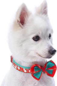 img 3 attached to 🎄 Christmas Festival Dog Collars by Blueberry Pet: 10+ Stylish Designs with Slide Accessories