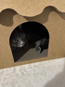 img 3 attached to 🏠 SVY Cozy Cat House & Scratcher Pad, Corrugated Cardboard for Cats, Kittens, and Small Animals. Dimensions: 16x12x13 inches.