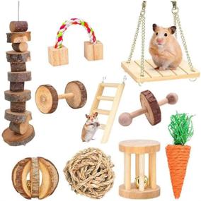 img 4 attached to 🐹 Natural Wooden Hamster Chew Toys, Guinea Pig Toys and Accessories for Gerbils, Rats, Chinchillas - Dumbbells, Exercise Bell, Roller Teeth Care Molar Toy - Ideal for Syrian Hamsters, Rats, Chinchillas and Gerbils