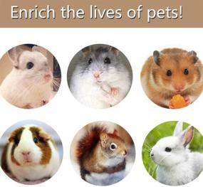img 2 attached to 🐹 Natural Wooden Hamster Chew Toys, Guinea Pig Toys and Accessories for Gerbils, Rats, Chinchillas - Dumbbells, Exercise Bell, Roller Teeth Care Molar Toy - Ideal for Syrian Hamsters, Rats, Chinchillas and Gerbils