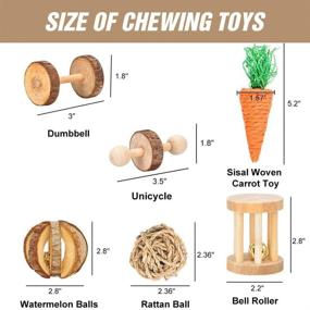 img 1 attached to 🐹 Natural Wooden Hamster Chew Toys, Guinea Pig Toys and Accessories for Gerbils, Rats, Chinchillas - Dumbbells, Exercise Bell, Roller Teeth Care Molar Toy - Ideal for Syrian Hamsters, Rats, Chinchillas and Gerbils