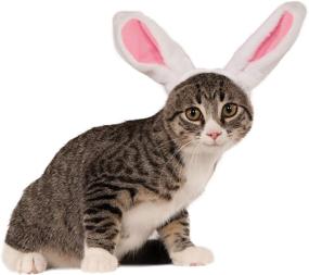 img 2 attached to 🐰 Rubie's Crinkle Bunny Ears Pet Headband - Adorable & Comfortable Accessory for Your Furry Friend