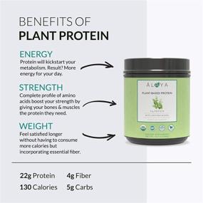 img 1 attached to 🌱 Alaya Naturals Organic Plant Based Protein Powder with Pea Protein, Hemp Protein, &amp; Spirulina - Non-GMO, USDA Organic - Vanilla Flavor, Vegan-Friendly