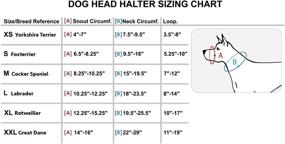 img 1 attached to 🐶 Ultimate Control: Dog Head Collar Halter in Sleek Black - Available in 6 Sizes