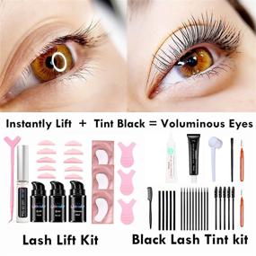 img 3 attached to Enhanced Libeauty Lash Lift and Tint Kit: Comprehensive Tools for At-Home Use, Black Lash Tint and Eyelash Perm Combo, DIY Suitability (Black)