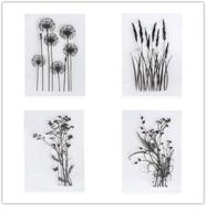 unique 4pcs dandelion clear stamps for scrapbooking, card making & diy crafts logo