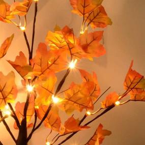 img 1 attached to 🍁 Autumn Harvest Decorative Maple Tree: Artificial Fall Lighted Tabletop LED Tree with 24 Lights - Battery Operated Thanksgiving Decorations for Indoor Outdoor Wedding Party Gifts and Home Decor