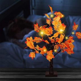 img 3 attached to 🍁 Autumn Harvest Decorative Maple Tree: Artificial Fall Lighted Tabletop LED Tree with 24 Lights - Battery Operated Thanksgiving Decorations for Indoor Outdoor Wedding Party Gifts and Home Decor