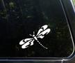 cmi182 dragonfly white vinyl sticker logo