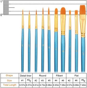 img 1 attached to 🖌️ Набор кистей для акриловых красок Eliseo из 50 штук с нейлоновым ворсом для детей, начинающих, ремесел, различных сред, класса | Разнообразные художественные кисти идеально подходят для масляных, акварельных, гуашевых и темперных красок