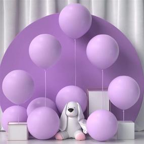 img 4 attached to Honinda Balloons Macaron Birthday Decorations