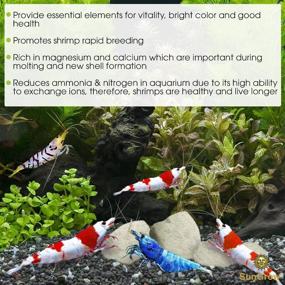 img 2 attached to 🦐 SunGrow Shrimp Rocks: Color-Enhancing Magnesium & Calcium for Optimal Shedding, Perfect for Crayfish, Snail, Crystal Red, Amano & Ghost Shrimp