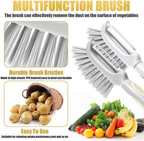 img 1 attached to 🥔 High-Quality Stainless Steel Potato Peeler Set with Brush - Ideal Kitchen Tool for Carrots, Cucumbers, Potatoes, and More