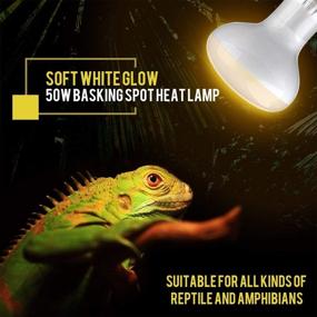 img 1 attached to 🦎 OMAYKEY 50W 2-Pack Soft White Glow Basking Spot Heat Lamp Bulb with UVA Glass Cover - Perfect for Lizard, Chameleon, Bearded Dragon, Snake, Aquarium Reptile & Amphibian Care